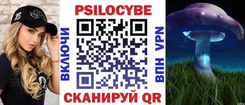 где продают наркотики  Зеленокумск  Псилоцибиновые грибы Psilocybe 